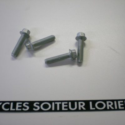 Vis pipe d'admission DERBI ( 50 à boîte )
