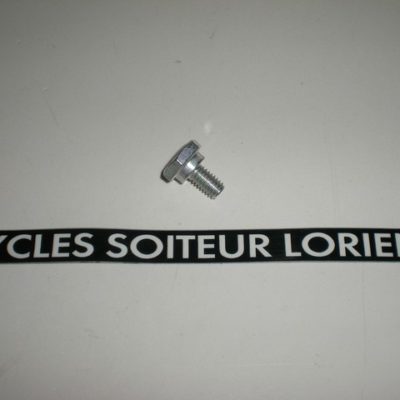 Vis de levier vérrouillage boîte de vitesses DERBI