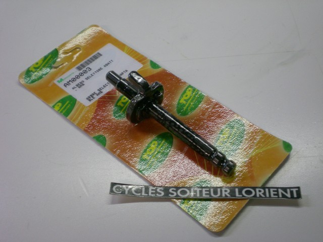 Axe sélecteur AM6