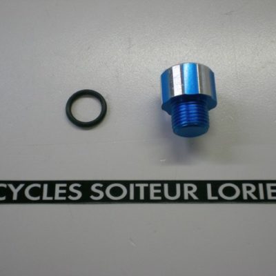 Bouchon remplissage d'huile bleu MINARELLI AM6