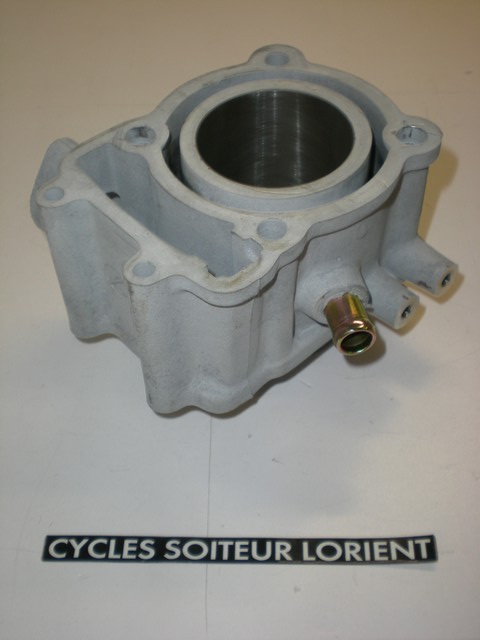 Cylindre nu SYM JOYRIDE 125 / HD2 / HD EVO / CITYCOM 125