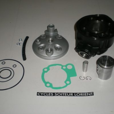 Haut moteur POLINI MINARELLI AM6