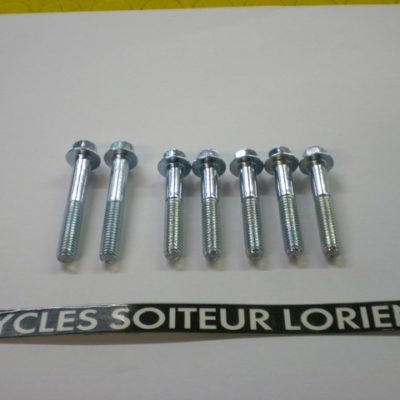 Jeu de vis carter embrayage DERBI EURO 2