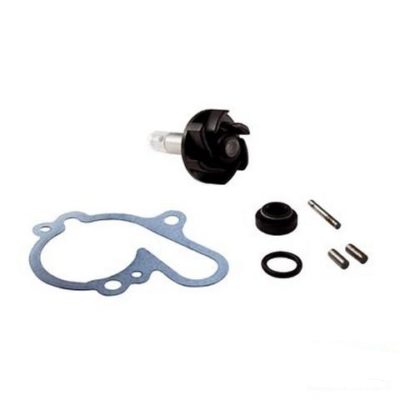 Kit pompe à eau MINARELLI AM6