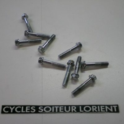 Kit vis carter variateur SYM