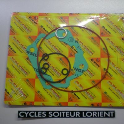 Pochette joints haut moteur MALOSSI DERBI EURO 2