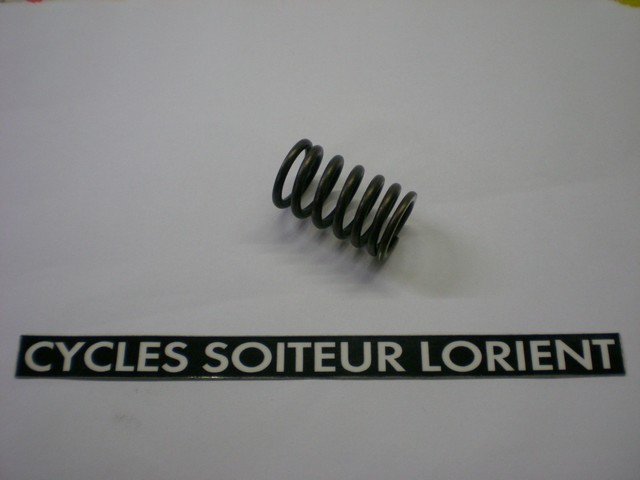 Ressort de soupape SYM ORBIT / FIDDLE 2007/2008
