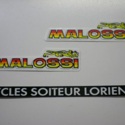 Ressorts MALOSSI SYM GTS / CITYCOM 300