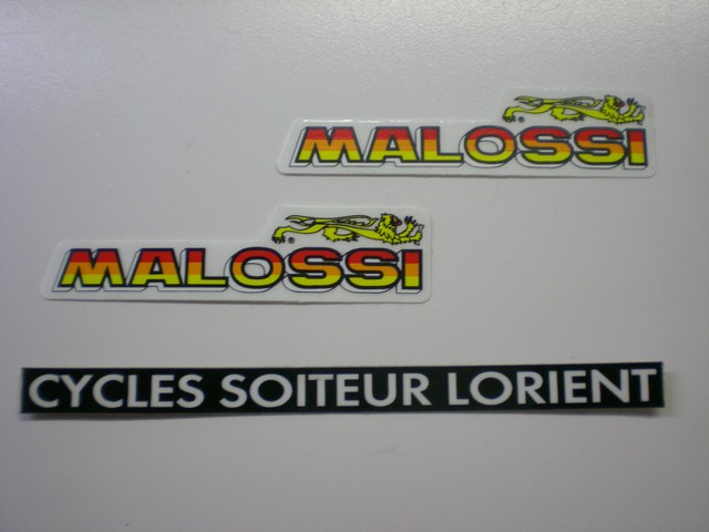 Ressorts MALOSSI SYM GTS / CITYCOM 300