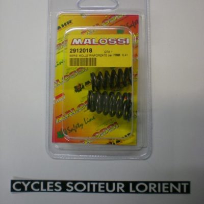 Ressorts d'embrayage MALOSSI DERBI