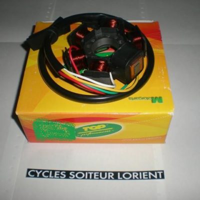 Stator TOP PERFORMANCE DERBI GPR