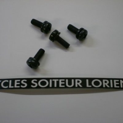 Vis diamètre 6 x 100 x 16 mm