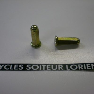 Vis d'échappement SYM ( diamètre 8 mm )