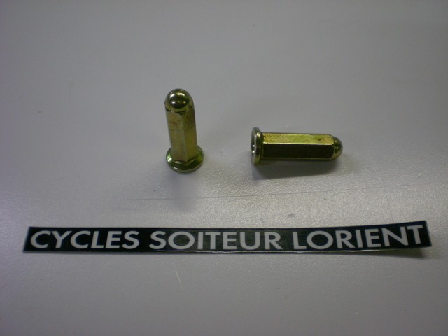 Vis d'échappement SYM ( diamètre 8 mm )
