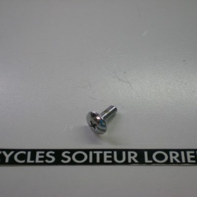 Vis tête bombée diamètre 6 x 17 mm