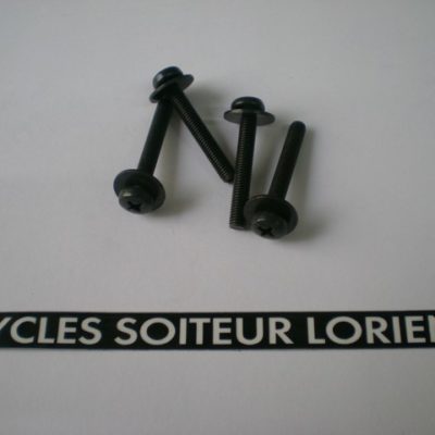 Vis tête cyclindrique empreinte cruciforme 5 x 35 mm