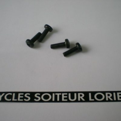 Vis tête cylindrique empreinte cruciforme 5 x 15 mm