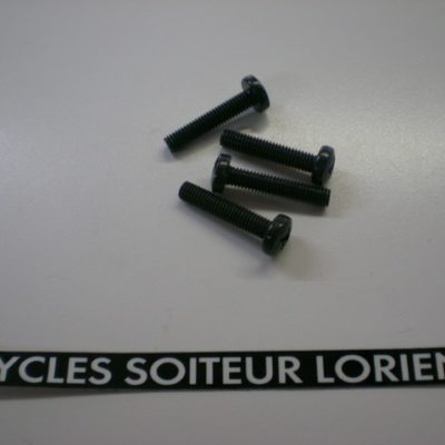 Vis tête cylindrique empreinte cruciforme 6 x 30 mm
