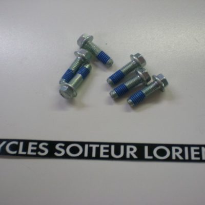 Vis tête hexagonale 6 x 20 mm