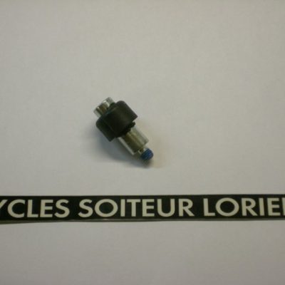 Vis turbine pompe à eau PIAGGIO