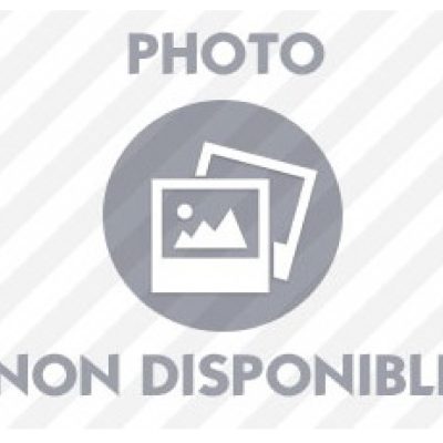 Roulement vilo adaptable SOLEX