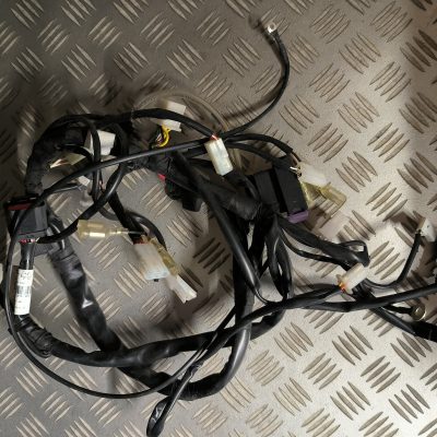 Faisceau électrique VENT